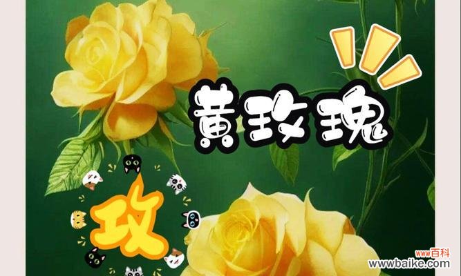 女生送给男生黄玫瑰花代表什么？黄玫瑰在爱情中通常象征什么？