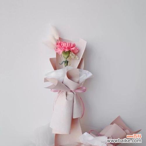 三八妇女节适合送什么花，其花语是什么？