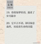 绿萝的花语及其净化空气的特效是什么？