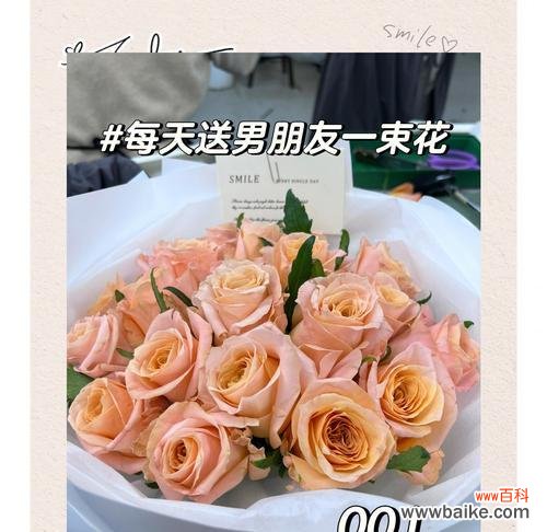 送给男友的花语应该表达什么？