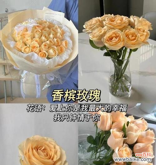 送给男友的花语应该表达什么？