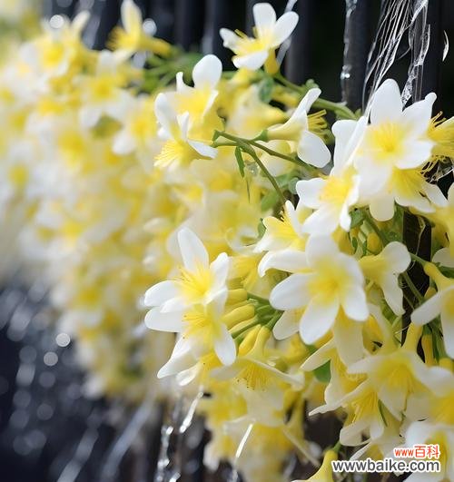 就像春天的花语是什么?哪种花象征着春天的到来?