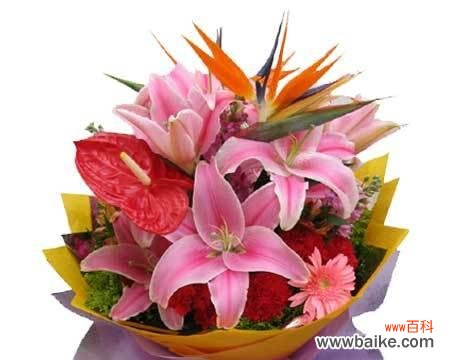 关于前程的花语是什么?哪种花象征着美好的未来?