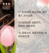 桂花的花语和寓意有哪些？