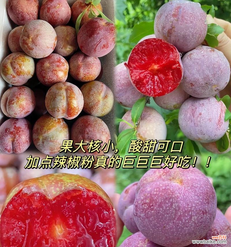 空心李子的花语有何含义?