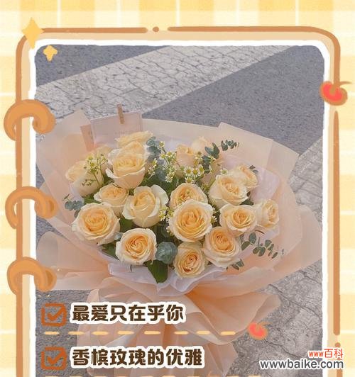 香槟玫瑰20朵的花语和寓意是什么?它们代表了什么?