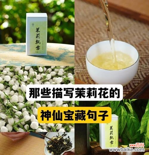 清纯和纯洁的花语是什么？哪种花象征着纯洁无暇？
