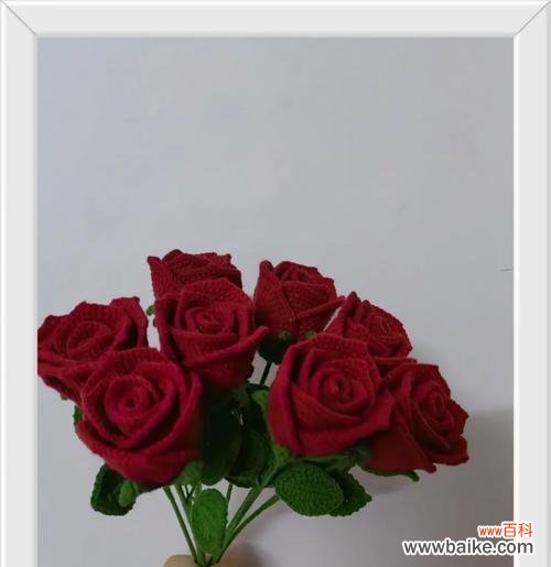 19朵酒红色玫瑰花语是什么?酒红色玫瑰花语有何深意?