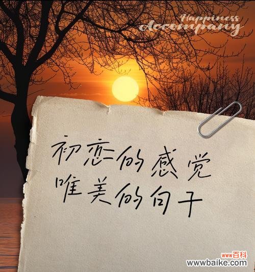 初恋送什么花语好?初恋时哪种花语最能表达心意?