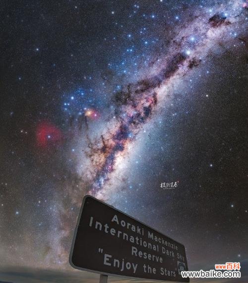 星空花语代表的纯真含义是什么？