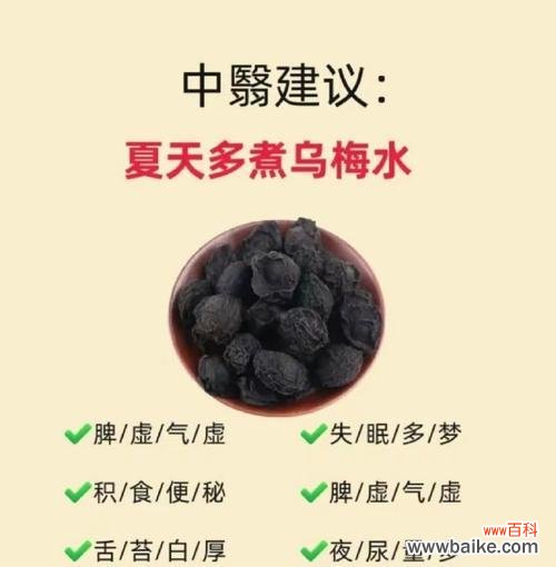 33朵乌梅子酱代表什么?花语中有什么深层含义?