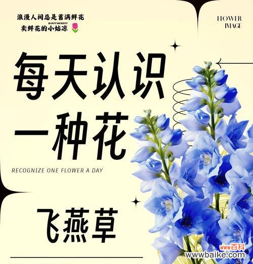 王燕老师在其作品中传达了哪些花语？