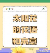 玉髓花的花语和寓意是什么？