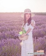 传递希望和宁静的花海，以薰衣草的花语和象征为主题 薰衣草的花语与象征——守护与平静