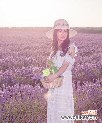 传递希望和宁静的花海,以薰衣草的花语和象征为主题 薰衣草的花语与象征——守护与平静