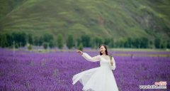 薰衣草花语的意义及其传说故事 薰衣草的花语与传说