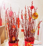 以芬芳绽放 年宵花