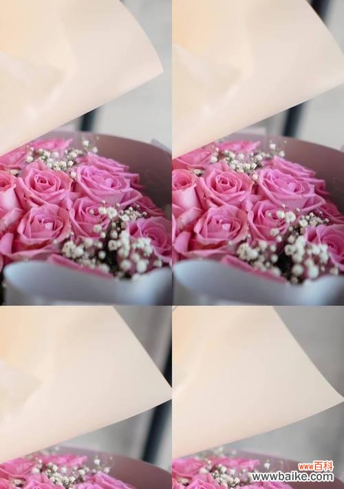 一束玫瑰与白玫瑰共同代表了什么？