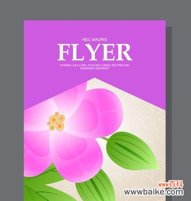 紫色罗兰的花语是什么?为什么它被认为好看?