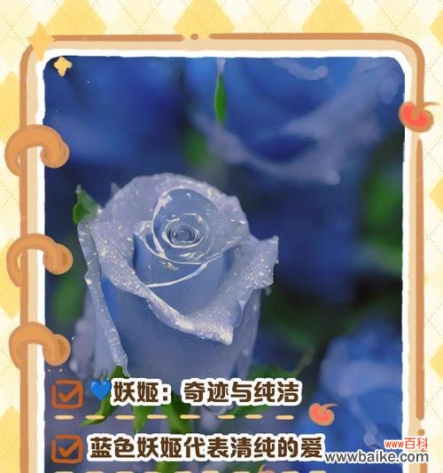 苍月草花语是什么blue？苍月草的蓝色花语有何深意？