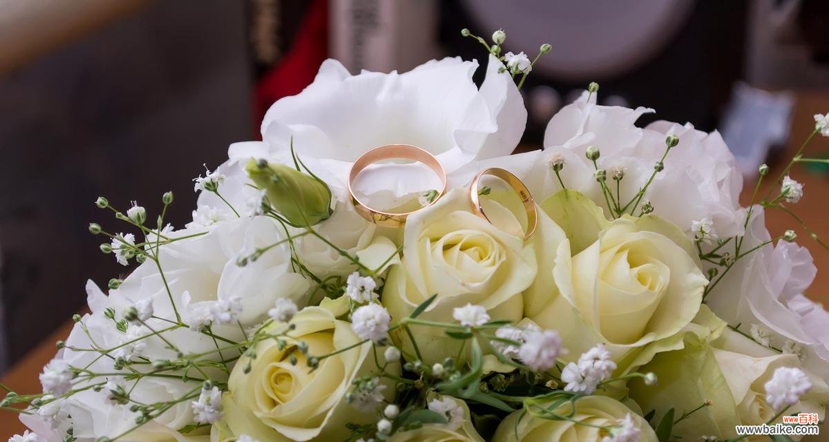 香槟玫瑰花的花语有何深意?它代表了哪种爱情?