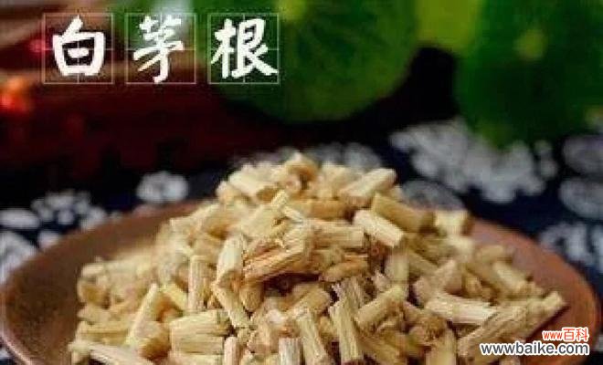 丝茅草的花语寓意是什么？丝茅草象征着哪些特质？