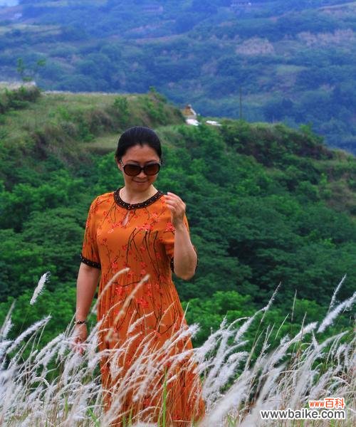 丝茅草的花语寓意是什么？丝茅草象征着哪些特质？