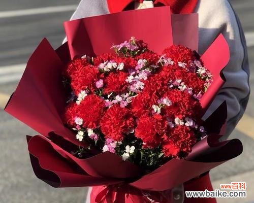 相思梅花语的丰富内涵与传统文化的融合 相思梅的花语及寓意大揭秘