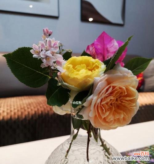 研究鲜切花在生活中的作用及其心理价值 探索以鲜切花的意义