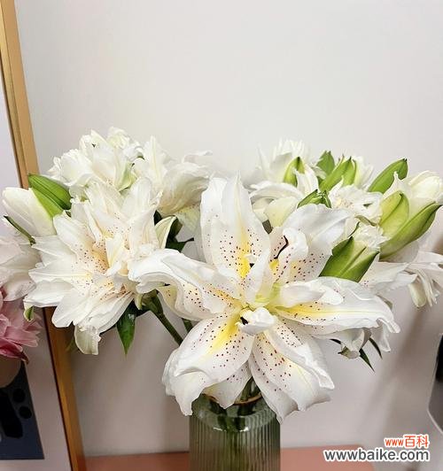 研究鲜切花在生活中的作用及其心理价值 探索以鲜切花的意义