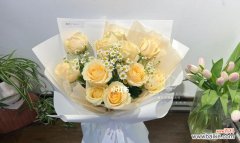 揭秘香槟玫瑰的独特魅力与情感象征 香槟玫瑰的花语与寓意