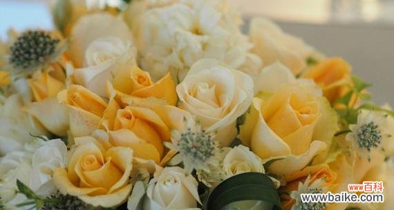 香槟玫瑰的寓意与象征,以及它们在不同场合的应用 香槟玫瑰