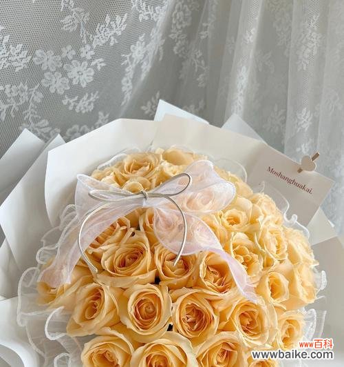 探索香槟玫瑰的花语与文化意义 香槟玫瑰