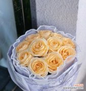 探索香槟玫瑰的花语与文化意义 香槟玫瑰