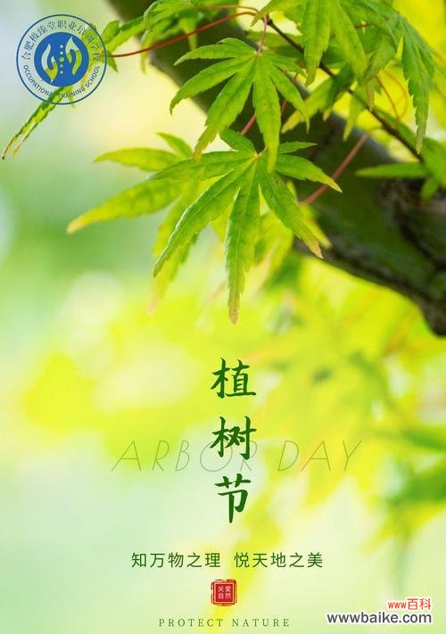 探索生命之花 植物中的希望与梦想