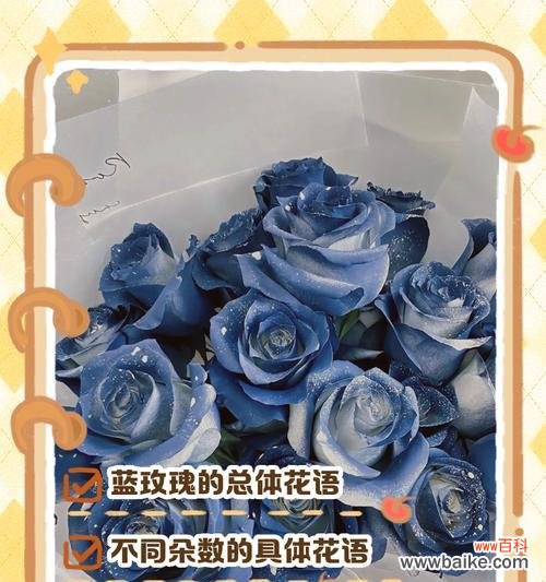 5朵白蓝玫瑰代表什么情感?