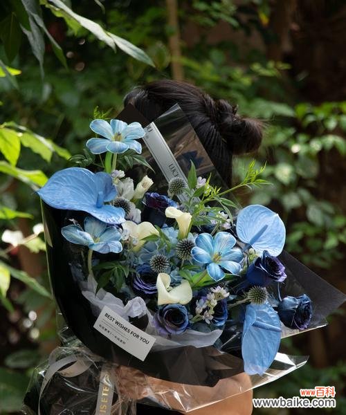 5朵白蓝玫瑰代表什么情感?