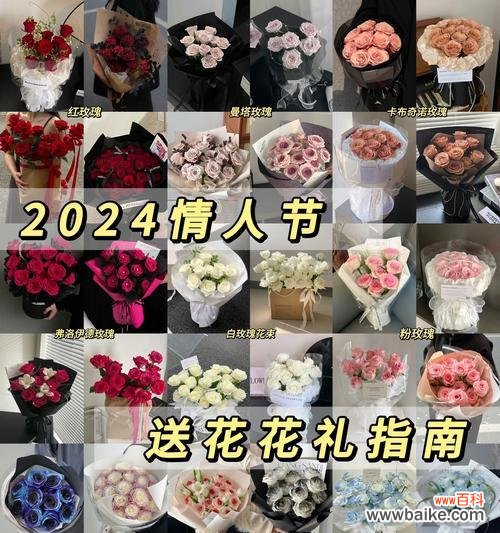 请爱我的人对应的花语是什么?