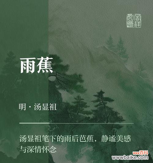 花语庭的凉意背后隐藏着什么故事?