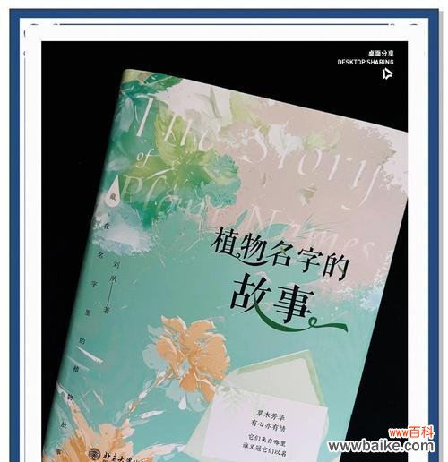 花语庭的凉意背后隐藏着什么故事?