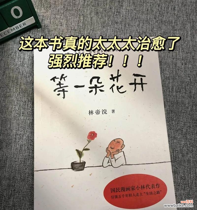 哪种花的花语表达了等待?