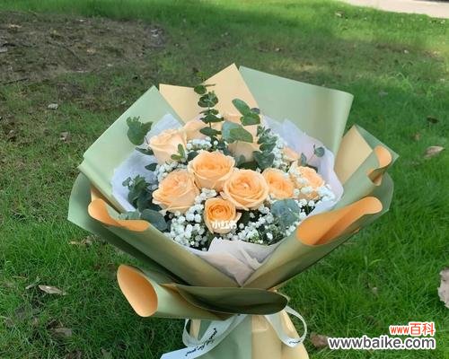 揭示香槟玫瑰的寓意和情感表达 香槟玫瑰花语与寓意