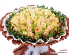 解读香槟玫瑰的浪漫与温馨 香槟玫瑰的含义与象征