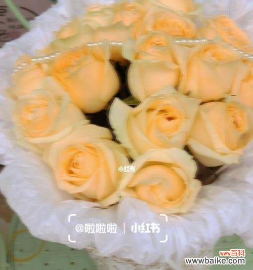 解读香槟玫瑰的浪漫与温馨 香槟玫瑰的含义与象征