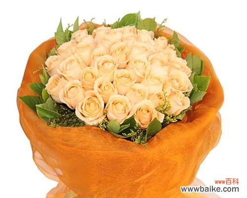 揭示香槟玫瑰花象征的深层含义 香槟玫瑰花的寓意是什么?