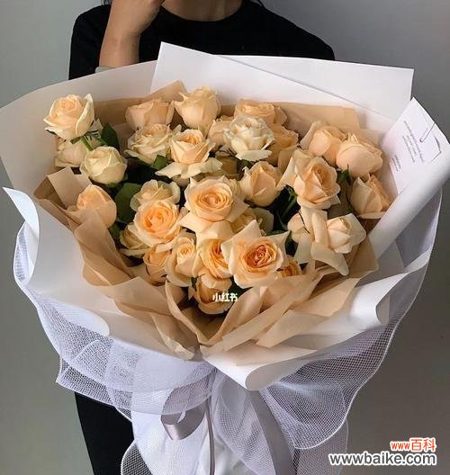 探索香槟玫瑰的浪漫与神秘 香槟玫瑰的象征与意义