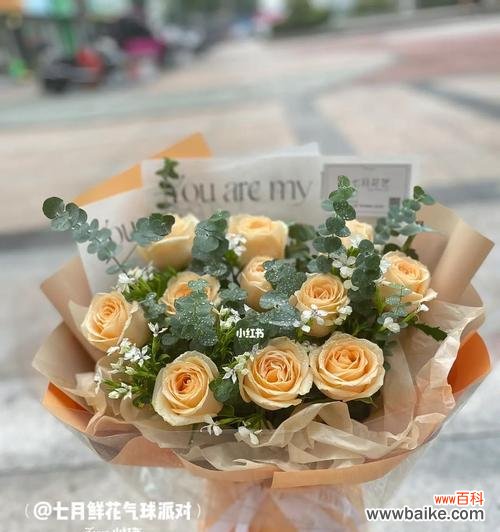 探索香槟玫瑰的魅力与深意 香槟玫瑰的花语和寓意解读