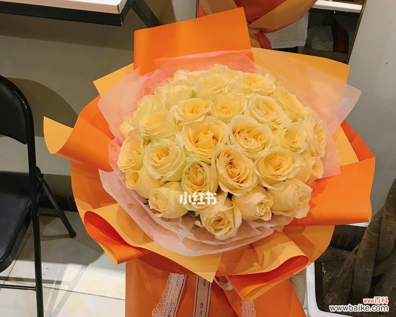 唤醒温暖悸动的心灵,香槟色玫瑰花的寓意 香槟色玫瑰花的浪漫之意