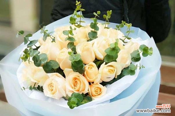 唤醒温暖悸动的心灵,香槟色玫瑰花的寓意 香槟色玫瑰花的浪漫之意