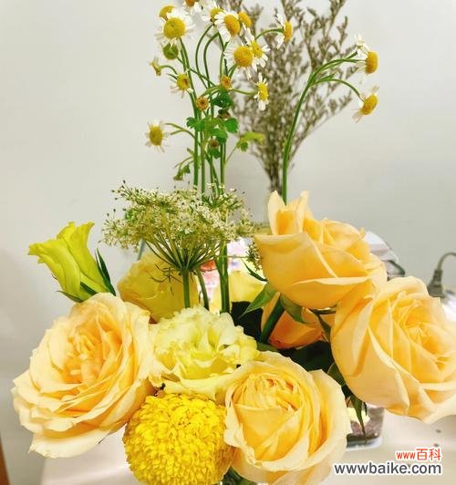 探索香槟色玫瑰花的美和深意 香槟色玫瑰花的象征意义